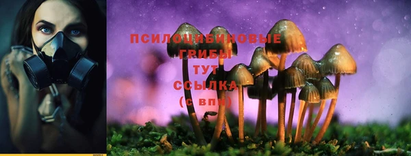 2c-b Абинск