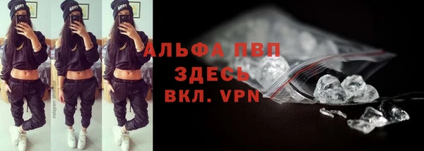 дмт Абаза