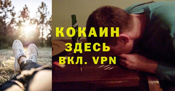 дмт Абаза