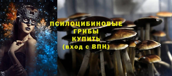 2c-b Абинск